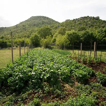 Vila Mramor *