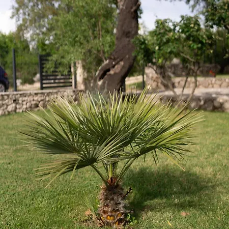 Villa Mramor Neum